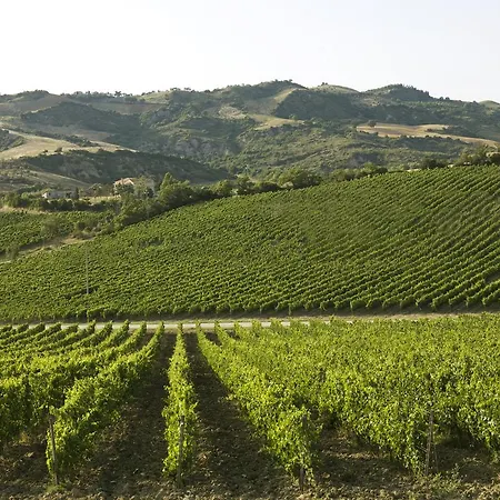 Séjour à la campagne Poderi Firenze *