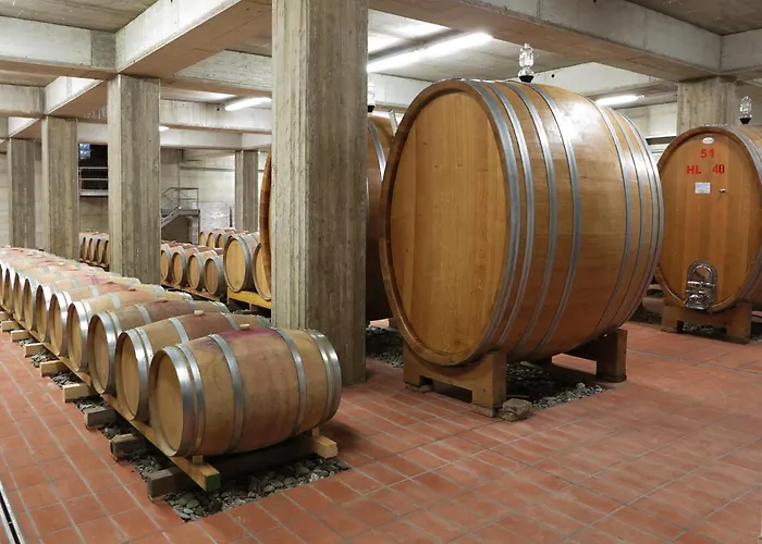Poderi Firenze