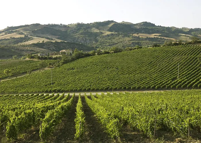 乡村民宿 Poderi Firenze *